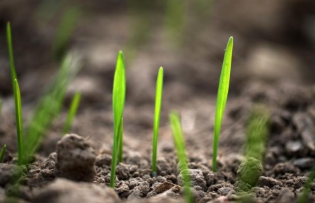 立冬：蓄能積勢，孕育未來