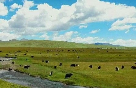 青海省生態(tài)環(huán)境監(jiān)測中心：從生態(tài)之窗感知大美青海 推動(dòng)生態(tài)高質(zhì)量發(fā)展