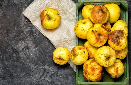 辟謠 | 食物變質(zhì)，加熱就能重新吃？