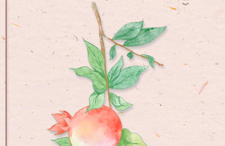 物種故事 | 石榴：榴枝婀娜榴實繁，榴膜輕明榴子鮮