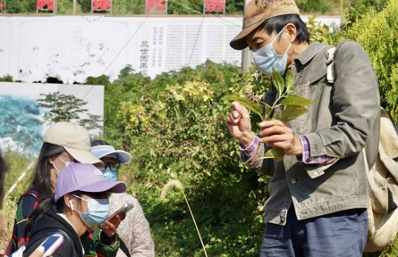 南京醫(yī)科大學(xué)康達學(xué)院：“三融合”讓山林采藥實踐課有趣又有用