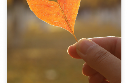 名言 | 葛洪：仁人之視人也如己，待疏也猶密
