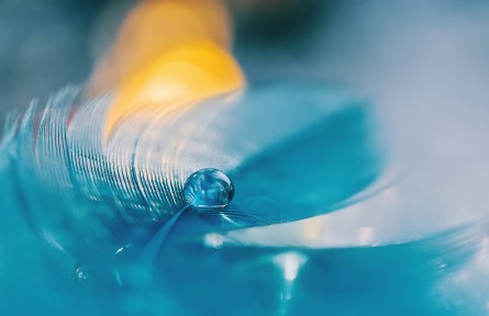 科普 | 露珠為什么是球形的？