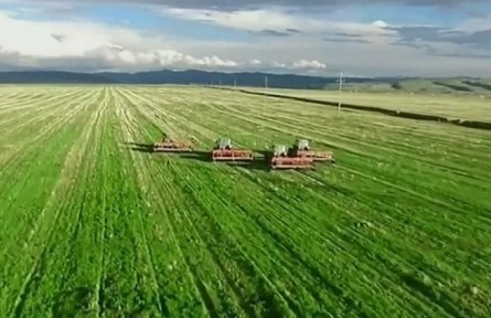 青海：迎來又一個豐收年