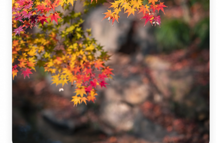 劉勰：歲有其物，物有其容；情以物遷，辭以情發(fā)