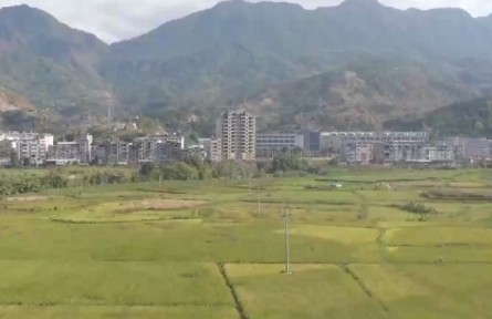 全國秋收完成97.6% 各地采取多項措施推進秋種工作