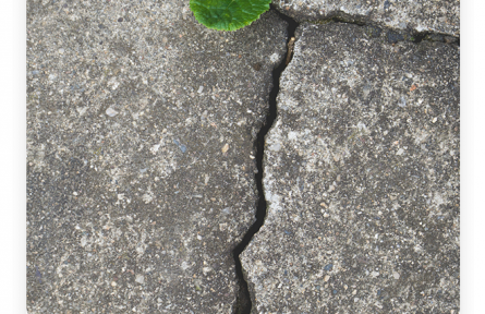 名言 | 尼采：大地上生長(zhǎng)的東西，還有什么比高而強(qiáng)勁的意志更令人歡愉