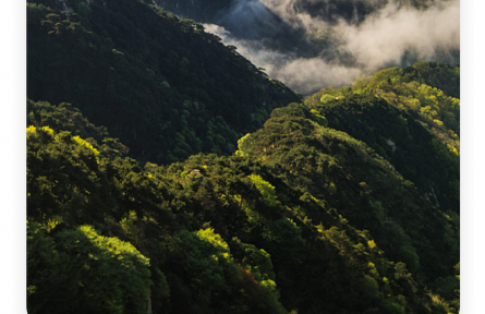 名言 | 劉安：太山之高，背而弗見；秋毫之末，視之可察