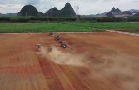 各地推進田間管理 確保小麥安全越冬