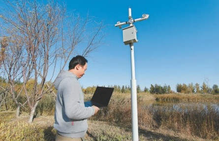 北京：人工智能助力野生動(dòng)物監(jiān)測(cè) 有了“順風(fēng)耳”坐聽(tīng)百鳥(niǎo)鳴