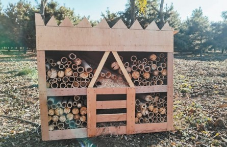 北京懷柔這“小區(qū)”功能多，喜鵲、松鼠、甲蟲(chóng)“拎包入住” 山野精靈安家千畝密林