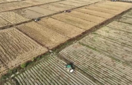 江西：開展農(nóng)田建設(shè)和土壤修復(fù) 夯實(shí)糧食耕作基礎(chǔ)