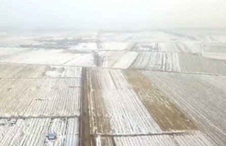 吉林：實(shí)行田長(zhǎng)制 讓每一塊耕地都有守護(hù)人