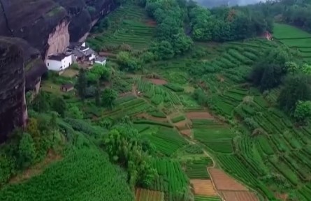 中國(guó)傳統(tǒng)制茶技藝及其相關(guān)習(xí)俗申遺成功