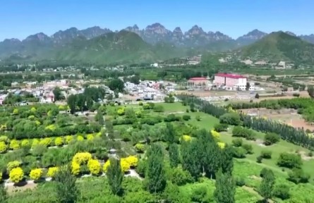 【逐夢新程】精準扶貧脫貧 創(chuàng)造山鄉(xiāng)巨變的人間奇跡