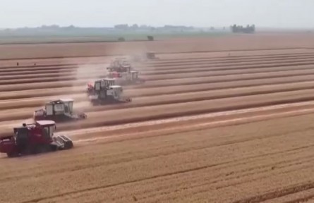 我國糧食機收減損取得積極進展