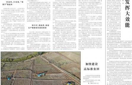 優(yōu)化結(jié)構(gòu)、轉(zhuǎn)變方式、暢通銷路 各地穩(wěn)產(chǎn)優(yōu)產(chǎn)舉措讓種糧更有奔頭