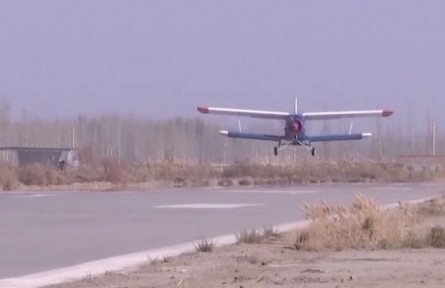 5萬(wàn)畝“樹(shù)種球”飛播試驗(yàn)造林在新疆塔克拉瑪干沙漠實(shí)施