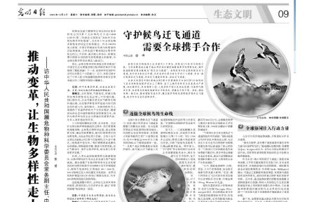 推動(dòng)變革，讓生物多樣性走上復(fù)蘇之路