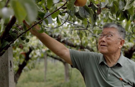 【二十大代表風采錄】趙亞夫：為農民服務一輩子
