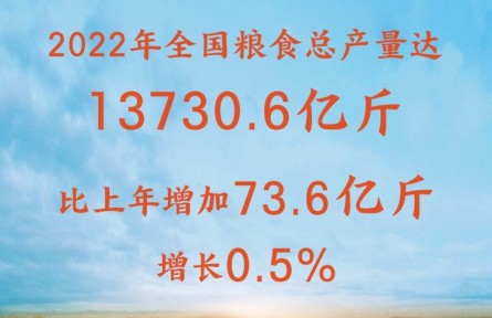 增產(chǎn)豐收！2022年全國糧食總產(chǎn)量達(dá)13730.6億斤