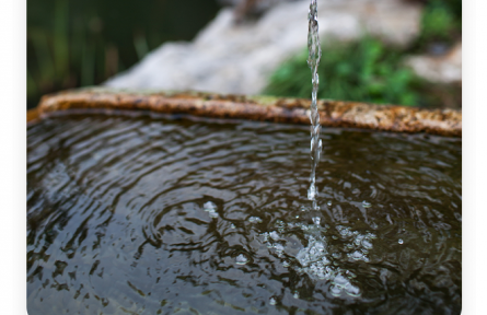 名言 | 荀子：真積力久則入，學(xué)至乎沒而后止也