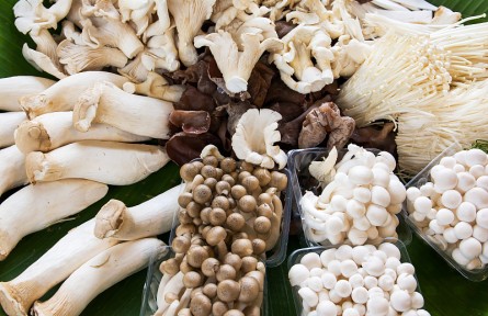 辟謠 | 市場(chǎng)上買(mǎi)的蘑菇真有甲醛嗎？