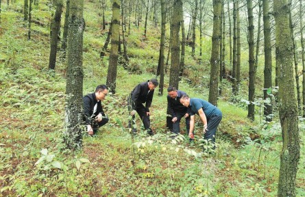 文正友：帶領貴州省海雀村走綠色發(fā)展之路