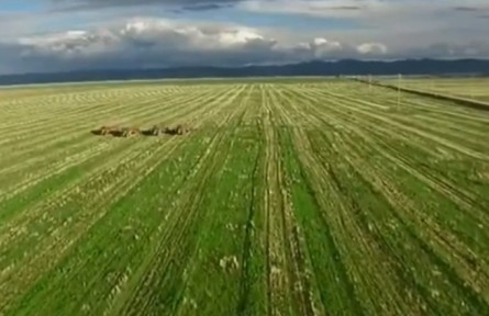 青海：金融惠農(nóng)服務(wù)不斷提檔升級(jí)