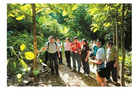 白嘉雨：將青春和智慧奉獻給熱帶林業(yè)事業(yè)