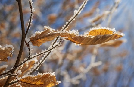 辟謠 | 冷空氣活動(dòng)頻繁，注意這幾個(gè)保健誤區(qū)