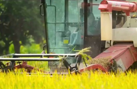 了不起的“新農人”！