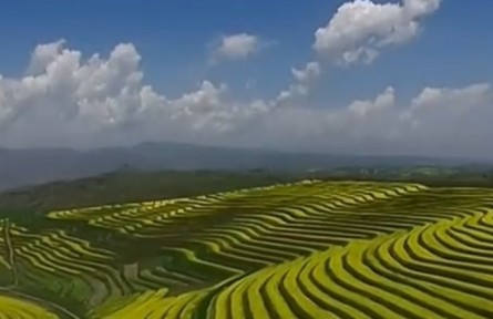 錨定目標(biāo) 鉚足干勁 加快建設(shè)農(nóng)業(yè)強(qiáng)國 習(xí)近平總書記在中央農(nóng)村工作會議上的重要講話在青海引發(fā)熱烈反響