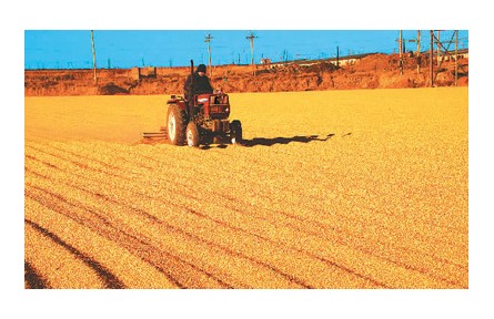 回眸2022，十組數(shù)據(jù)看經(jīng)濟(jì)社會發(fā)展亮點