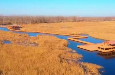 河北雄安新區(qū)：冬日白洋淀 唯美如畫卷