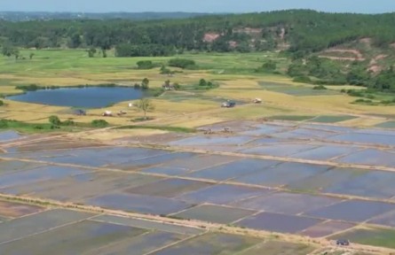 新時代 新征程 新偉業(yè)｜南昌大學研究團隊：扎根田野 服務鄉(xiāng)村 書寫油茶助農大文章