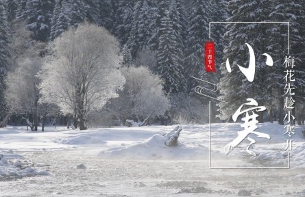 小寒，梅花先趁小寒開