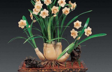 如何防止水仙花葉子長得太高？