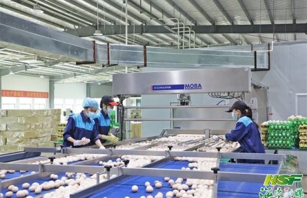 海南農(nóng)墾：拎穩(wěn)“菜籃子” 全力保供應