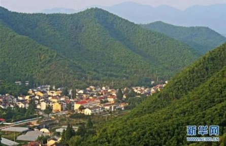 “為什么說綠水青山就是金山銀山？”