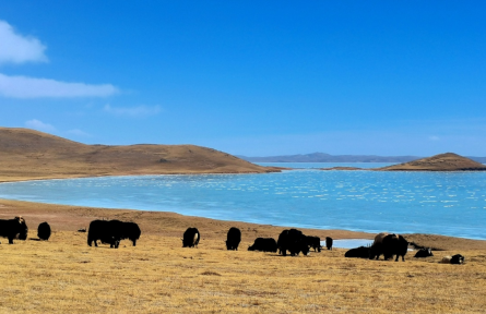 世界最大國家公園體系 world's largest national park system