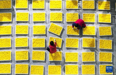 承壓前行，穩(wěn)中有進(jìn)——透視2022年中國(guó)經(jīng)濟(jì)答卷