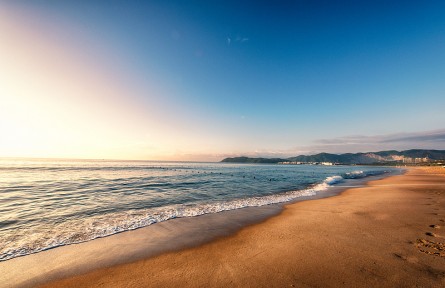 科技名詞 | 潮上帶  supralittoral zone，supratidal zone