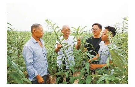 “中國好人”劉世揚：我這輩子，就做育種一件事