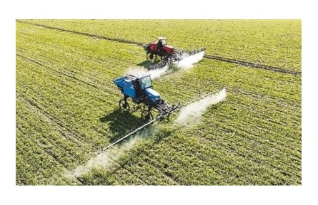 冬小麥冬油菜面積增加、長勢正?！３旨Z食穩(wěn)產(chǎn)增產(chǎn)好勢頭