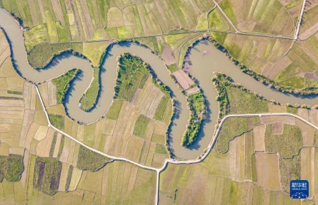 海南?？冢喝獫竦卮悍N忙