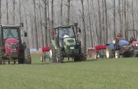 安徽宿州：科學(xué)田管合理施肥 促進(jìn)小麥苗情轉(zhuǎn)化升級