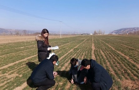 河南發(fā)布春季麥田管理技術(shù)指導(dǎo)意見，指導(dǎo)開展科學(xué)春管