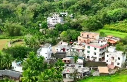 【新時代新征程新偉業(yè)】毛納村：發(fā)展生態(tài)產業(yè) 助力鄉(xiāng)村振興