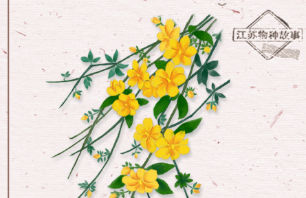 物種故事 | 迎春花：迎得春來非自足，百花千卉共芬芳